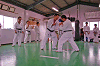 nidan (221)_samu.gif